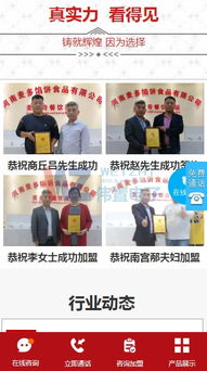 王者正新鸡排与麦多馅饼 品味街头美食的独特魅力